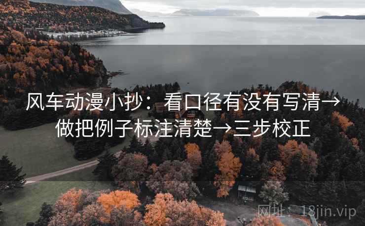 风车动漫小抄:看口径有没有写清→做把例子标注清楚→三步校正 第2张 风车动漫小抄:看口径有没有写清→做把例子标注清楚→三步校正 第2张